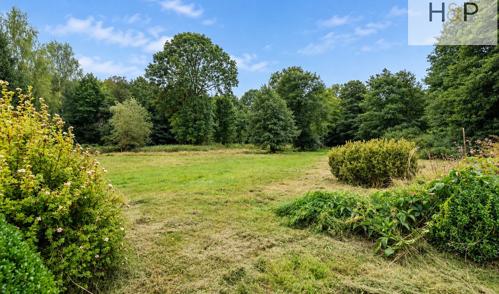Prodej chaty/chalupy 250 m² s pozemkem 5 622 m², Králíky – náhled fotky 12