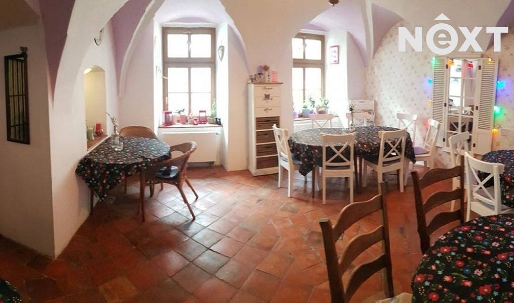 Prodej domu 296 m² s pozemkem 162 m², Kadaň – náhled fotky 11