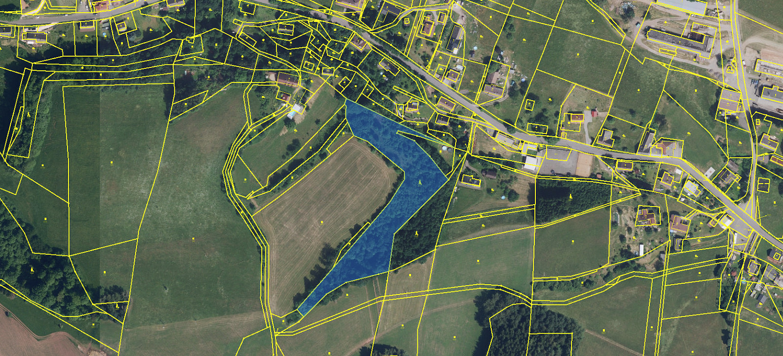 Prodej lesa 9 121 m²