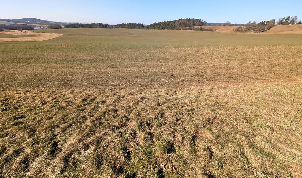 Prodej pole 10 445 m², Únice – náhled fotky 5