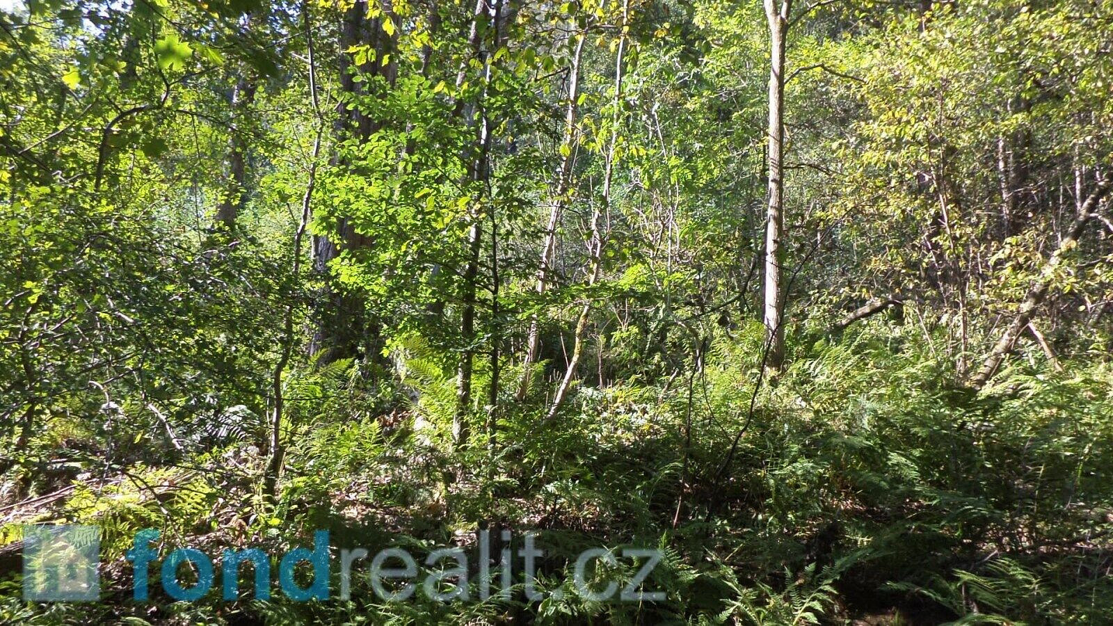 Prodej pole 14 721 m² – pohled 2