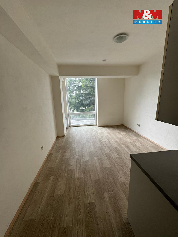 Pronájem bytu 1+kk 26 m² — photo 3