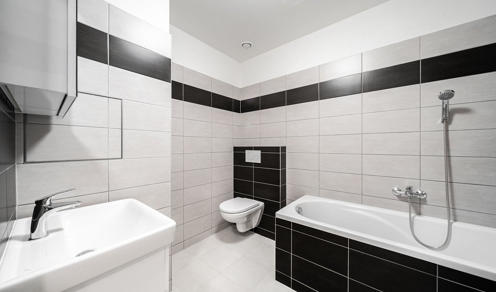 Pronájem bytu 2+kk 53 m², Plzeň – náhled fotky 5