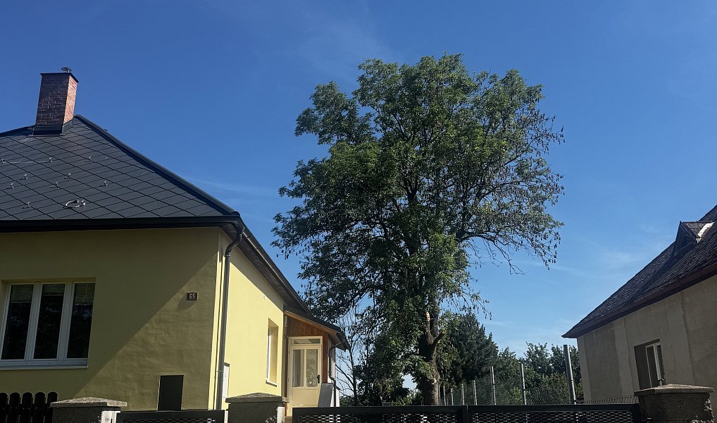 Pronájem bytu 3+1, 120 m², Horní Cetno - Mladá Boleslav, Niměřice