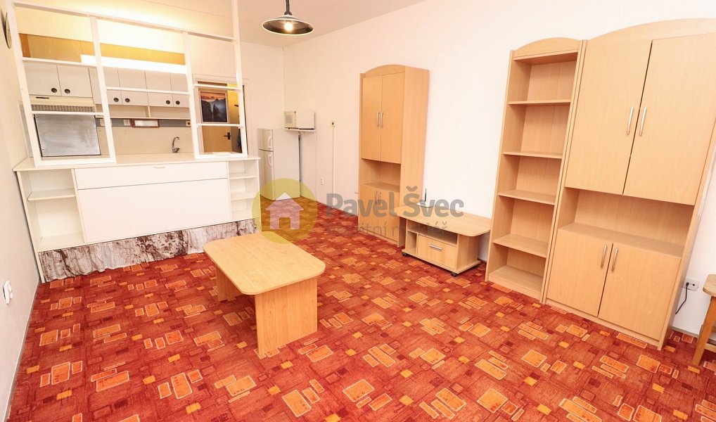 Pronájem bytu 1+kk 32 m², Strakonice – náhled fotky 8