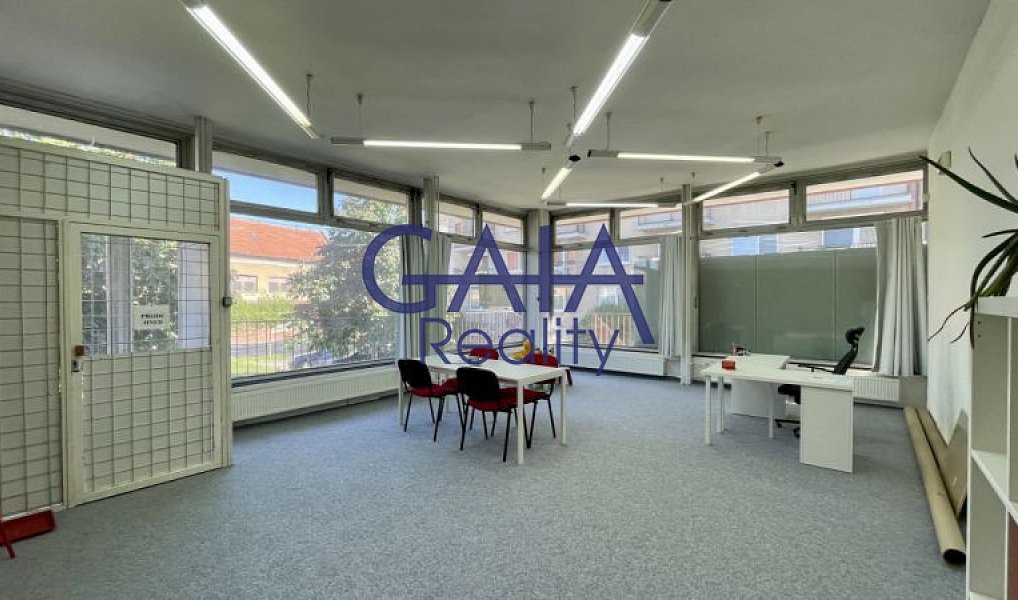 Pronájem obchodních prostor 56 m², Strážnice – náhled fotky 3