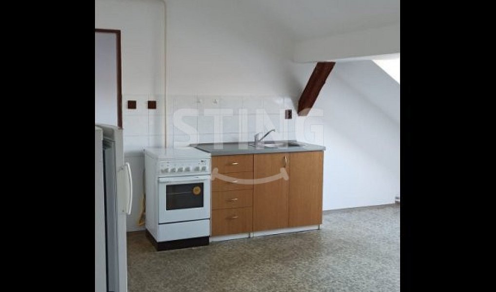 Pronájem bytu 1+1 62 m², Mikulovice – náhled fotky 3