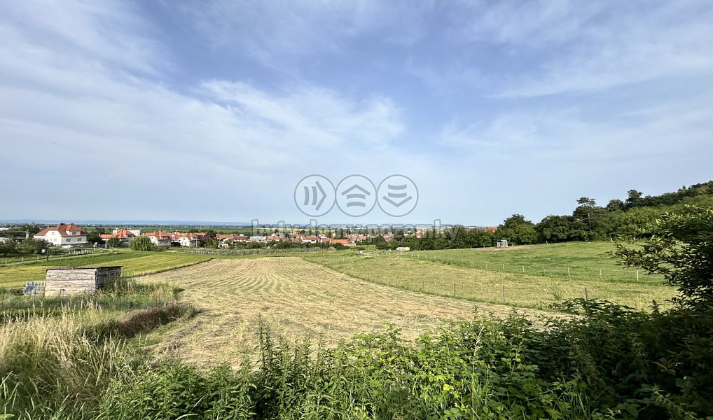 Prodej stavebního pozemku 3 897 m², Dětkovice – náhled fotky 6