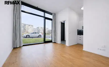 Pronájem bytu 1+kk 42 m², Malešická, Praha 3 - Žižkov