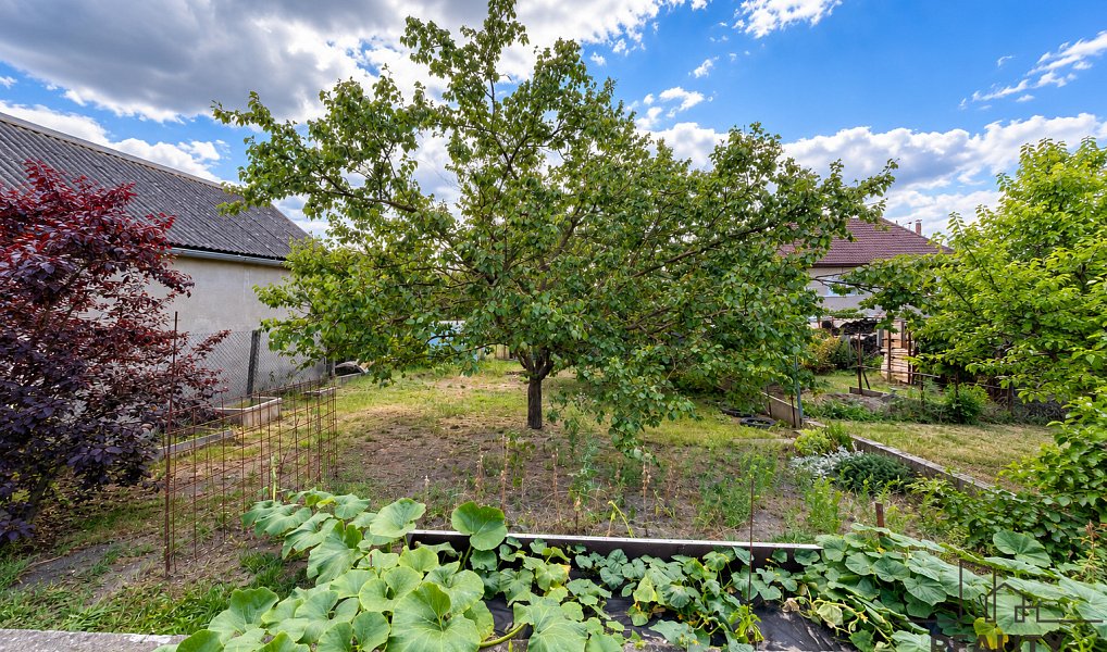 Prodej domu 180 m² s pozemkem 753 m², Přelouč – náhled fotky 4