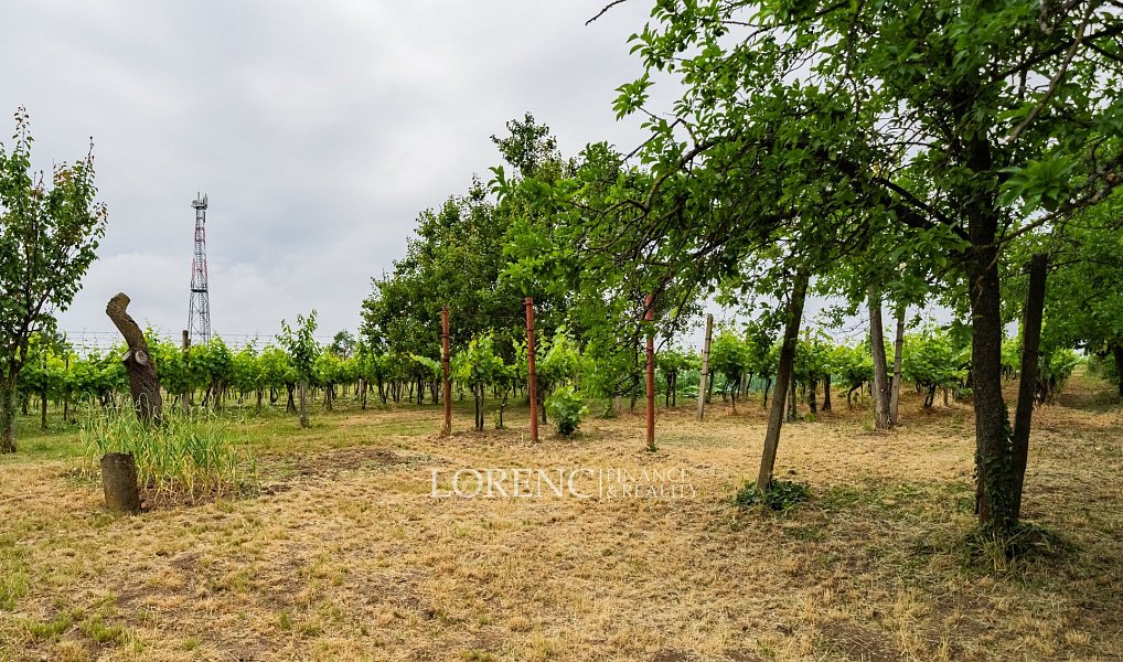 Prodej domu 104 m² s pozemkem 1 247 m², Nový Poddvorov – náhled fotky 25