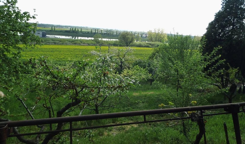 Prodej domu 43 m² s pozemkem 1 412 m², Trnovany – náhled fotky 9