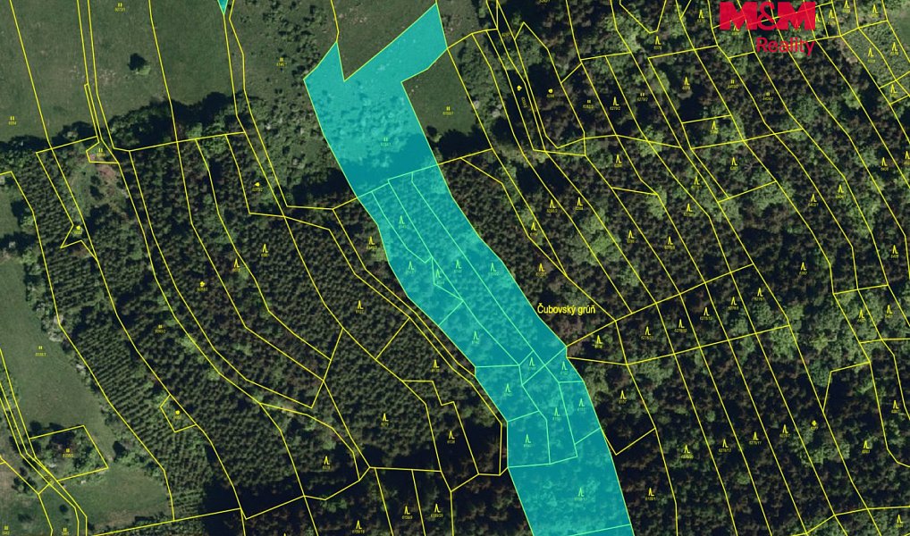 Prodej lesa 61 613 m², Nový Hrozenkov – náhled fotky 5