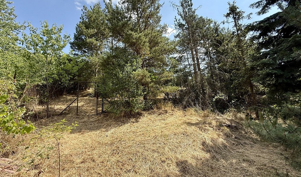 Prodej zahrady 1 857 m², Radostice – náhled fotky 5