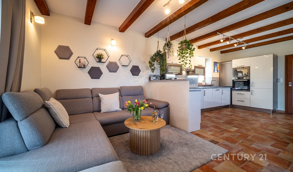 Prodej domu 220 m² s pozemkem 242 m², Vrábče – náhled fotky 24