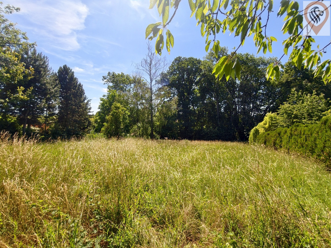 Prodej stavebního pozemku 2 410 m² – fotografie 4