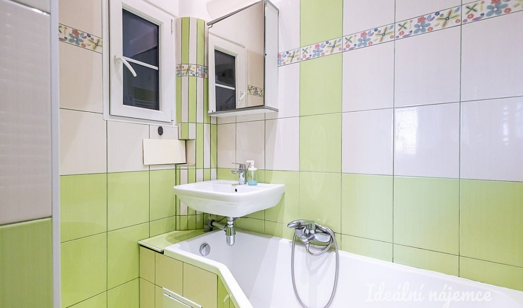 Pronájem bytu 1+kk 20 m², Praha – náhled fotky 12