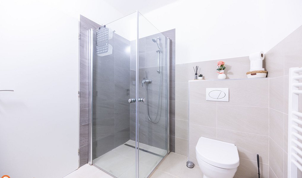 Prodej komerčního objektu (jiného typu) 450 m², Staré Město – náhled fotky 19