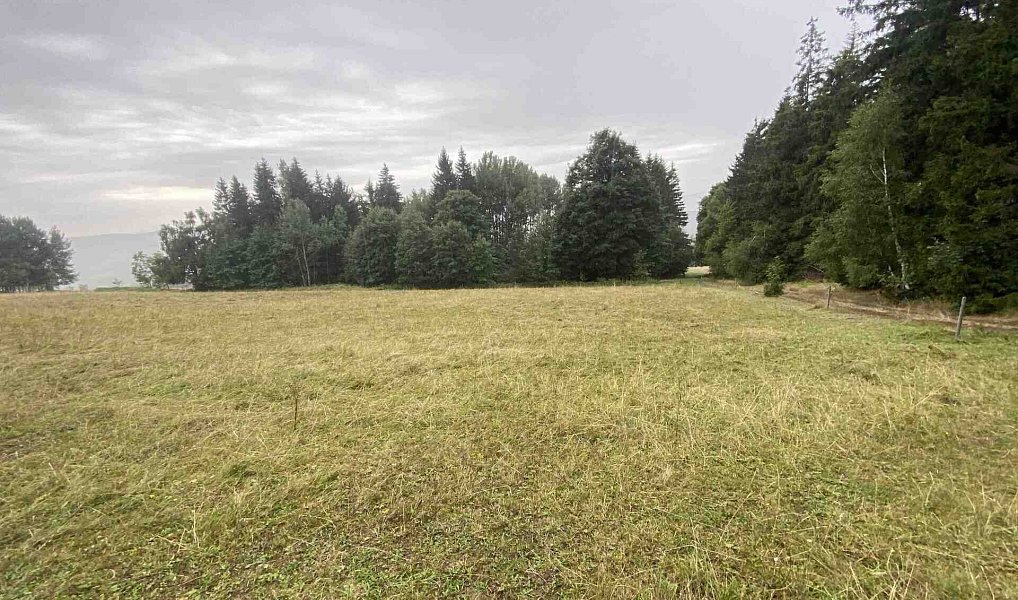 Prodej pozemku 1 842 m², Králíky – náhled fotky 3