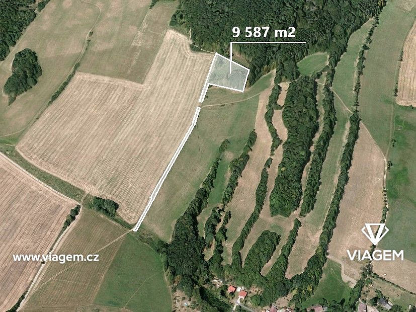 Prodej lesa 9 587 m²