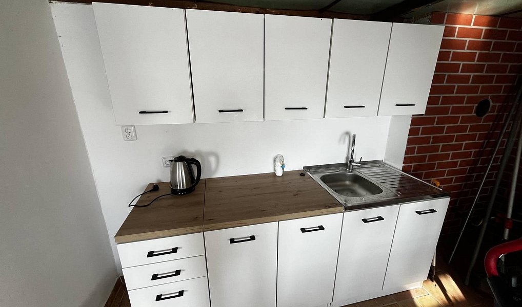 Prodej domu 47 m² s pozemkem 2 956 m², Trnovany – náhled fotky 2