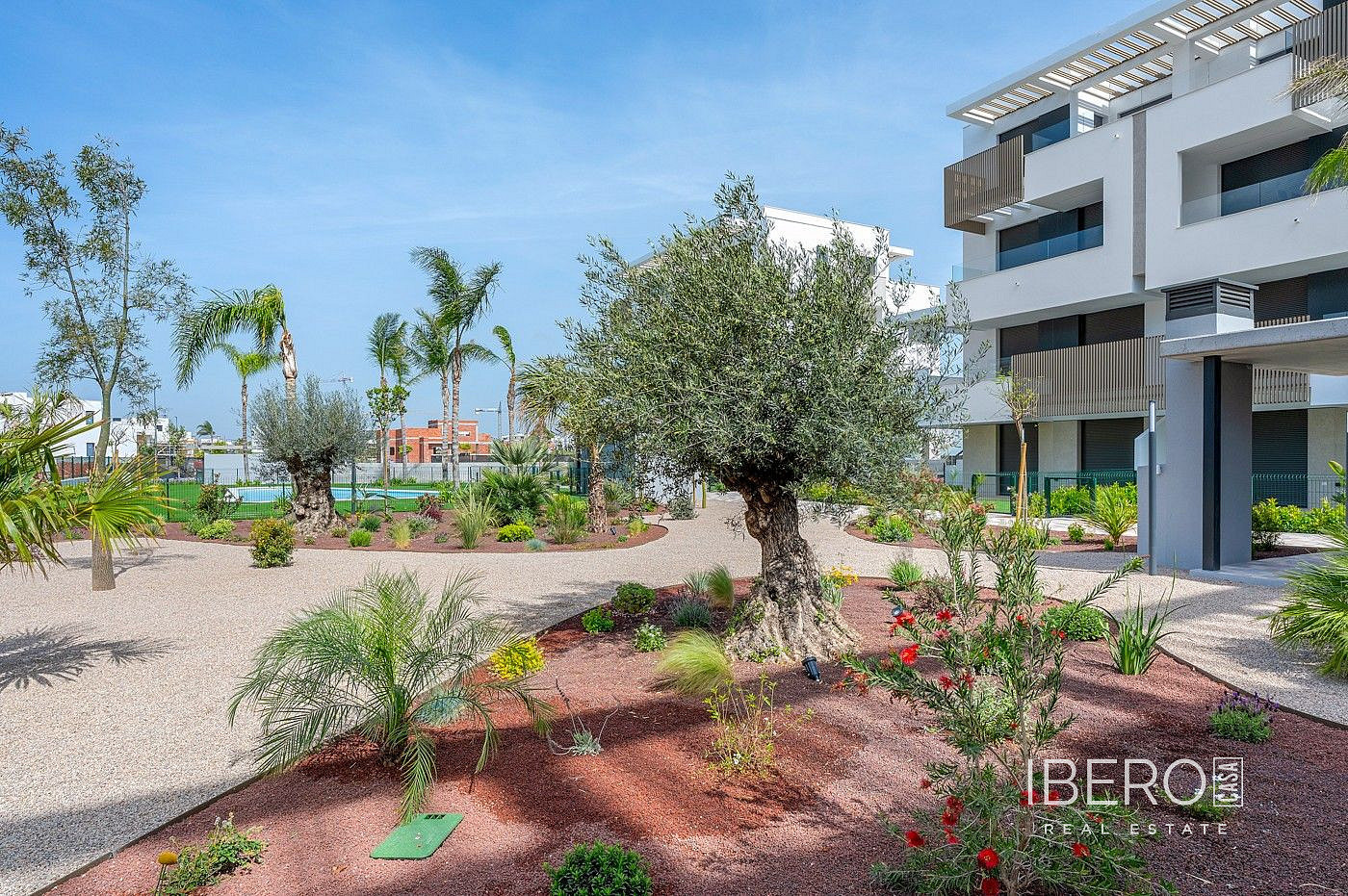 Pis 3+kk – Torre Pacheco, Torre-Pacheco - Vista 2