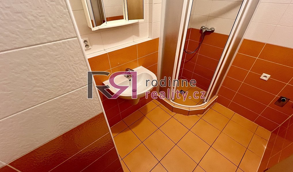 Pronájem bytu 1+kk 24 m², Praha – náhled fotky 7