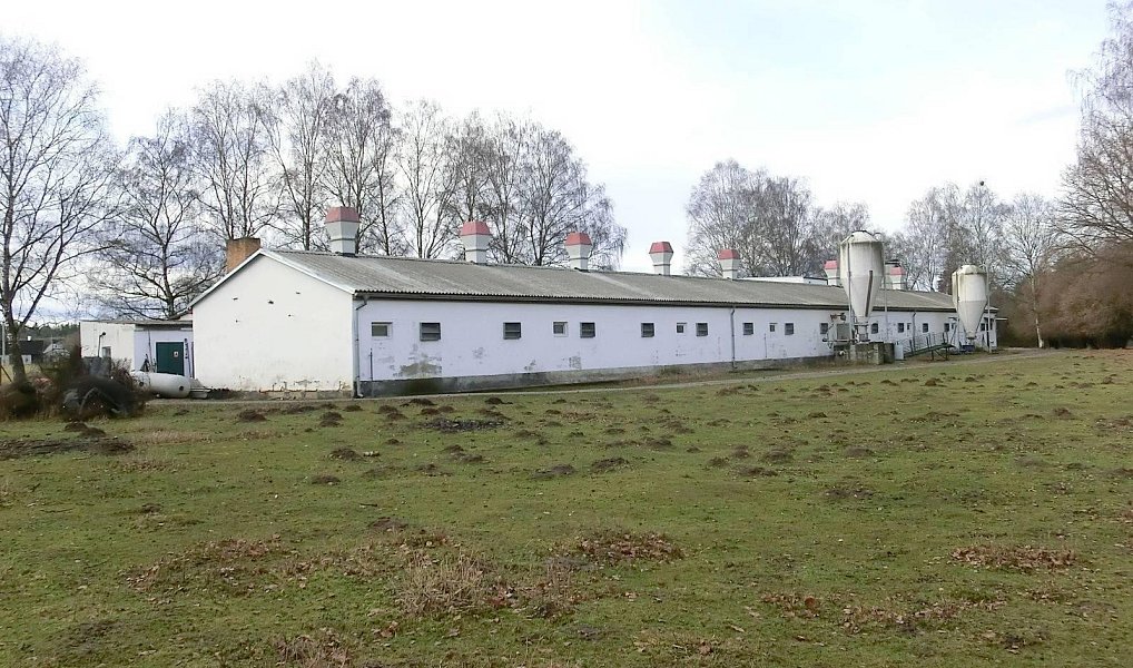 Prodej zemědělského objektu 2 000 m², Majdalena – náhled fotky 3