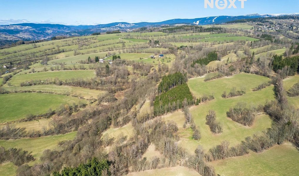 Prodej louky 6 913 m², Poniklá – náhled fotky 6