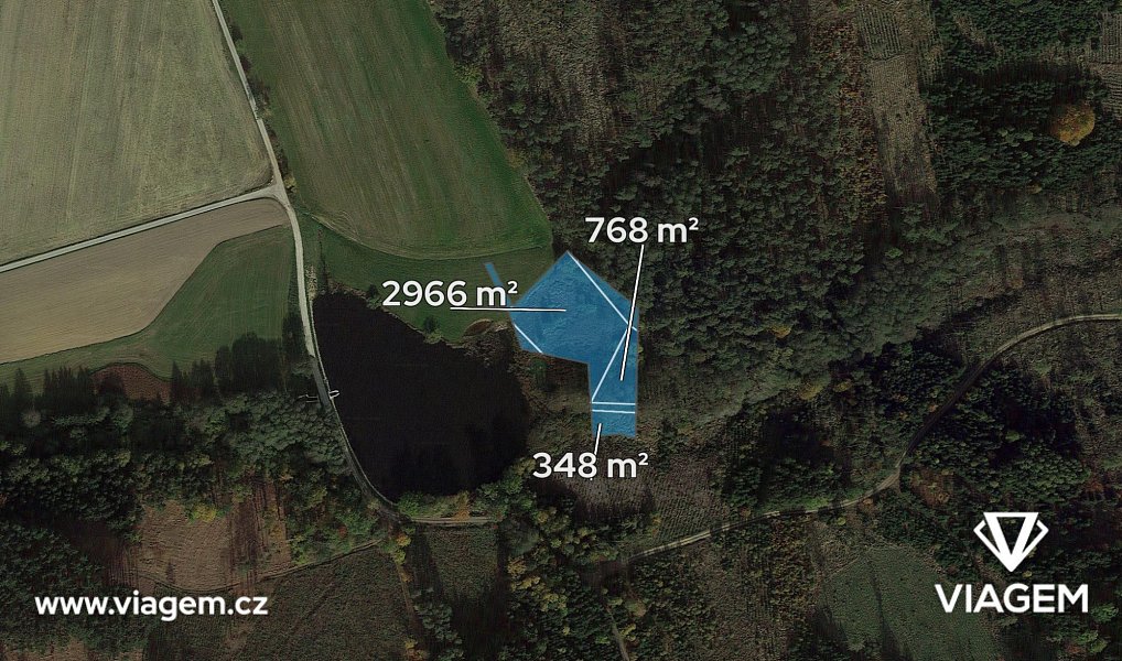Prodej lesa 4 700 m², Jemnice – náhled fotky 2