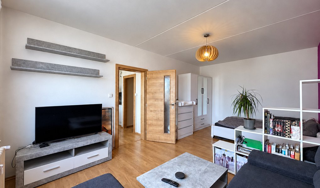 Pronájem bytu 1+1 39 m², Plzeň – náhled fotky 6