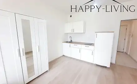 Pronájem bytu 1+kk 29 m², Technická, Plzeň - Jižní Předměstí