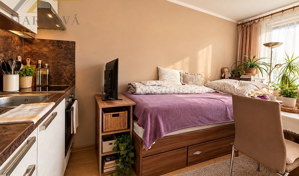 Prodej bytu 1+kk 23 m², České Budějovice – náhled fotky 5