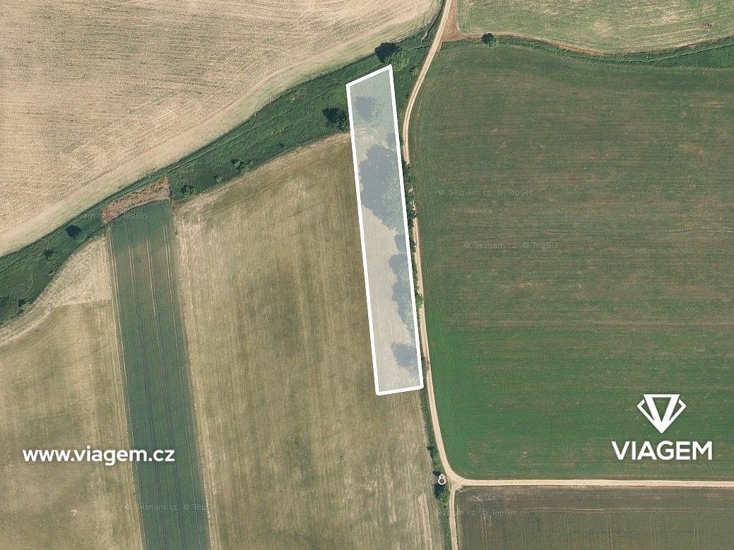 Prodej pole 1 692 m² – fotografie 2