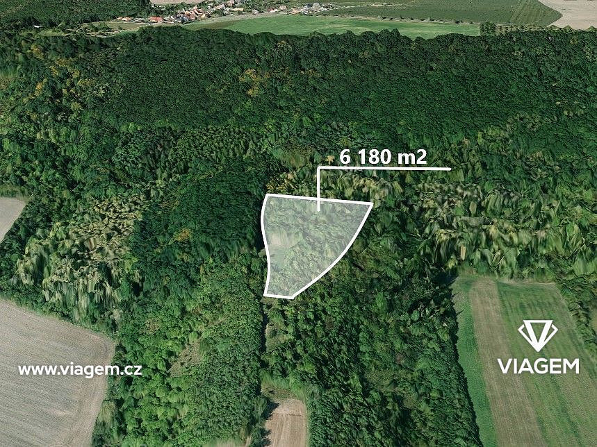 Prodej lesa 2 060 m²