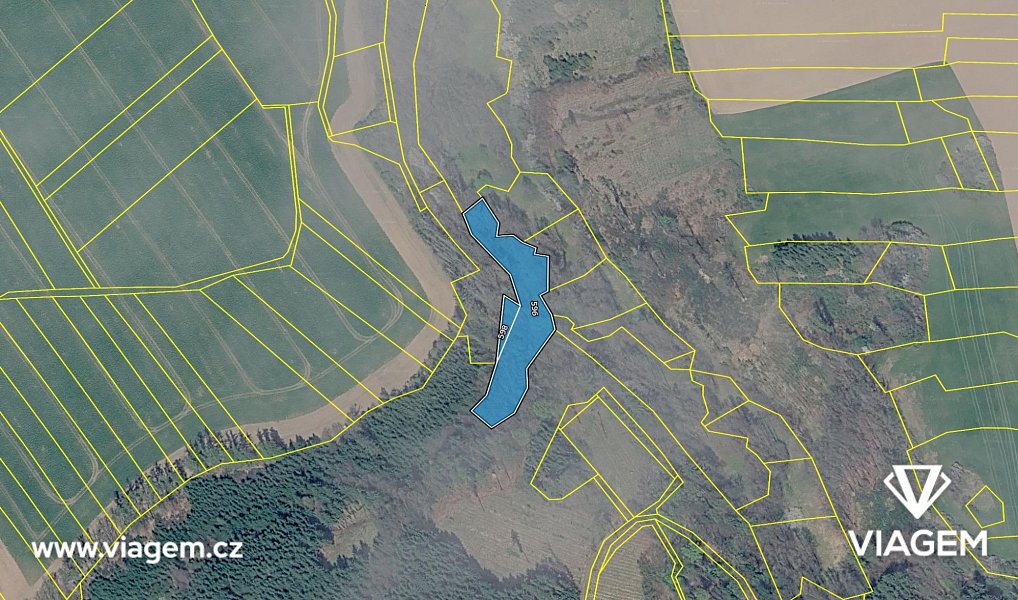 Prodej lesa 592 m², Vilémov – náhled fotky 4