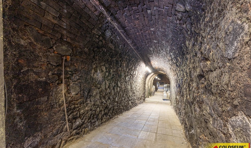 Vrbovec, vinný sklep, 160 m2, sítě prodej vinného sklepa, Vrbovec – náhled fotky 8