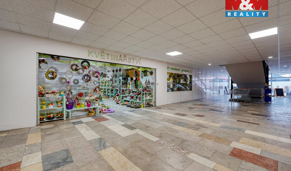 Pronájem obchodních prostor 133 m², Třemošná – náhled fotky 7