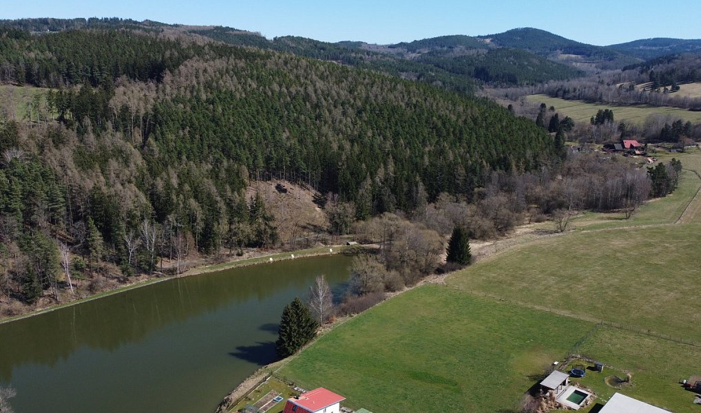 Prodej zahrady 782 m², Dlouhá Ves – náhled fotky 7