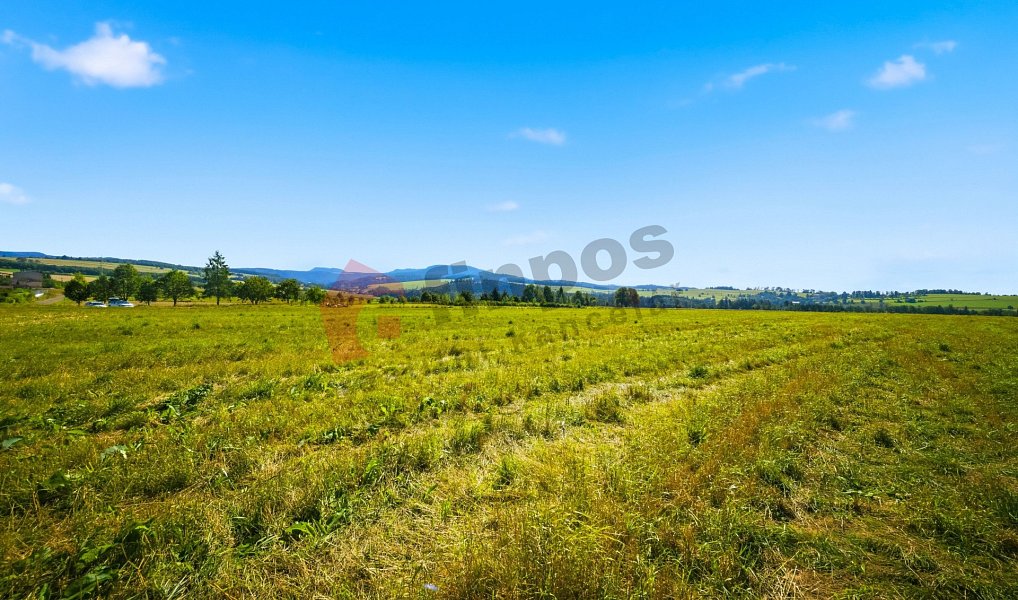 Prodej stavebního pozemku 14 349 m², Bezděkov nad Metují – náhled fotky 9