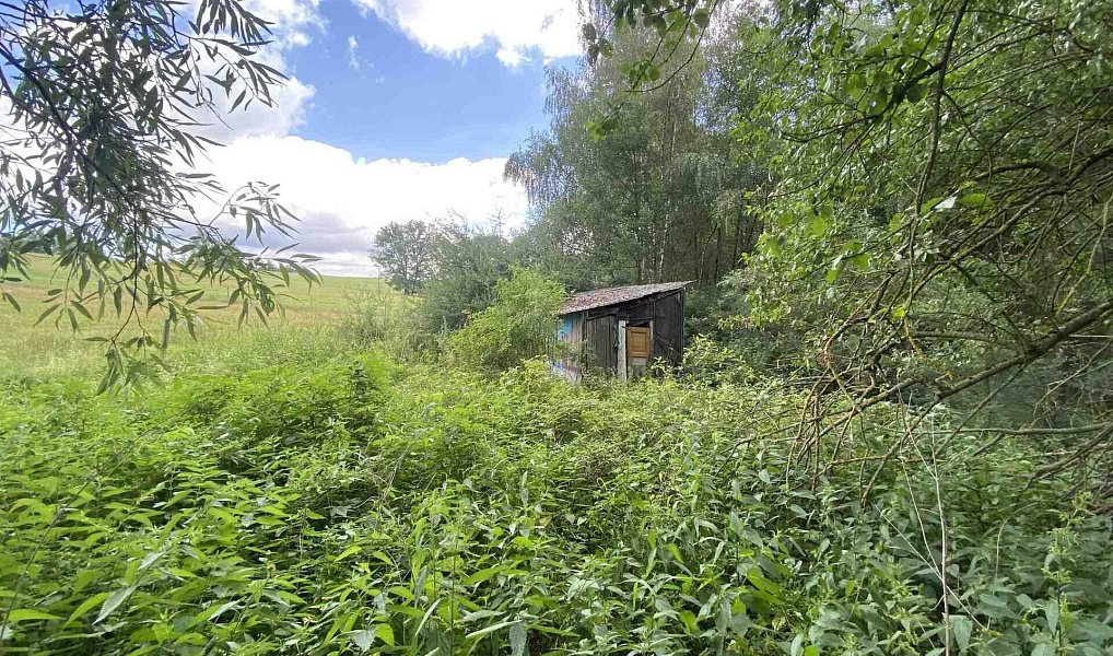 Prodej louky 4 246 m², Nové Hrady – náhled fotky 5