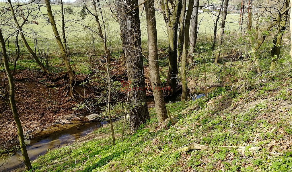 Prodej stavebního pozemku 3 760 m², Ženklava – náhled fotky 10
