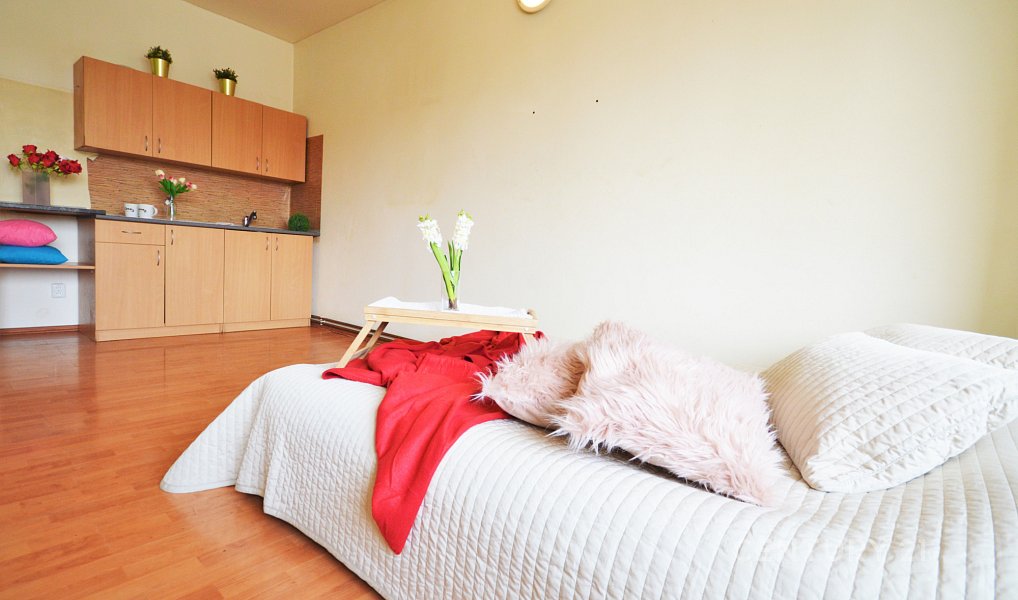 Prodej domu 1 500 m² s pozemkem 718 m², Rosice – náhled fotky 3