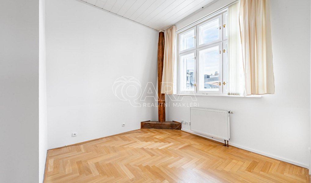 Pronájem bytu 5+kk 184 m², Praha – náhled fotky 8