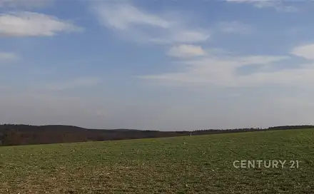Prodej komerčního pozemku 10 841 m², Hrabyně, okres Opava