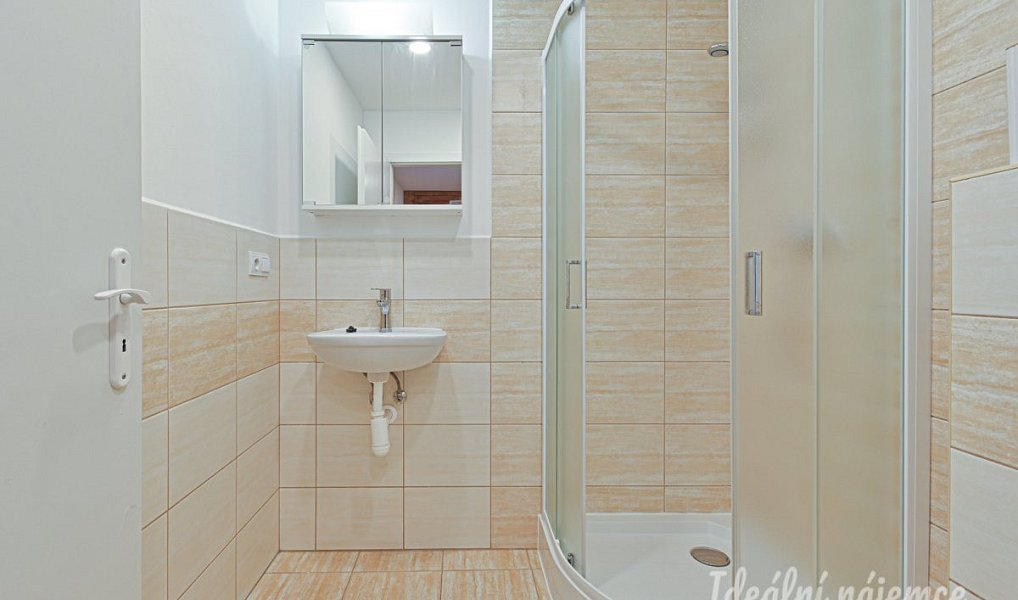 Pronájem bytu 1+kk 25 m², Brno – náhled fotky 8