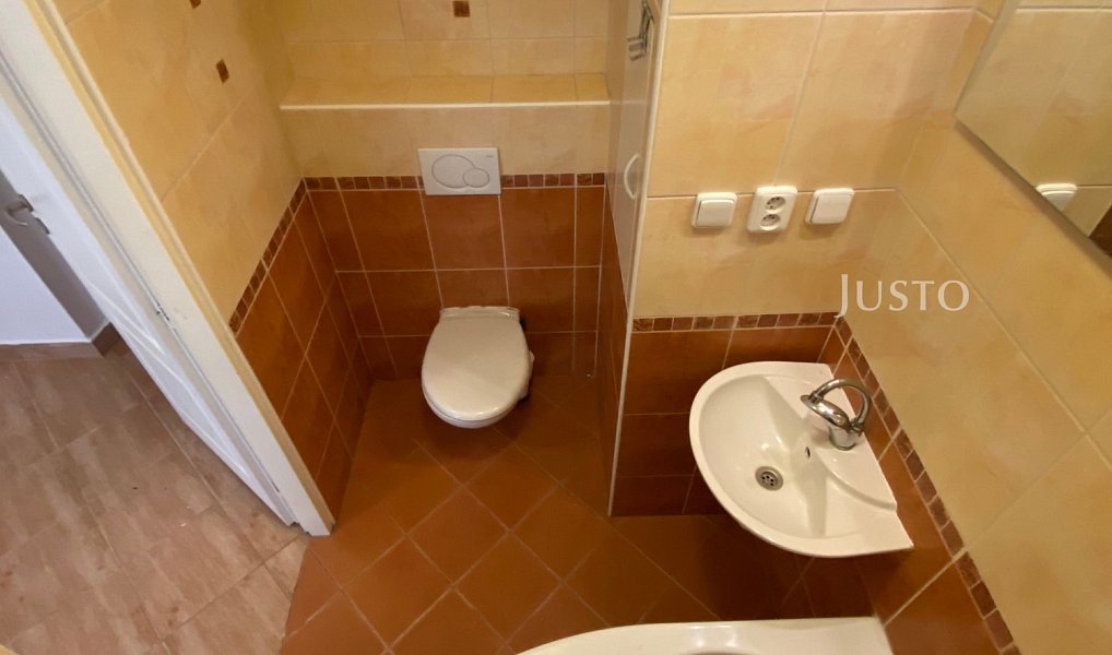 Pronájem bytu 2+1 54 m², Frýdek-Místek – náhled fotky 8