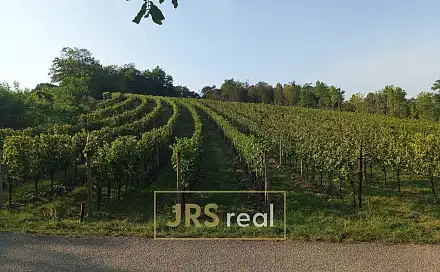 Prodej pole 3 399 m², Mutěnice, okres Hodonín