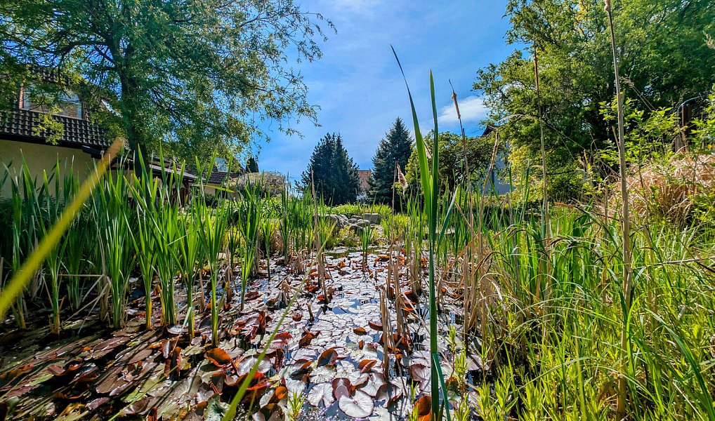 Prodej domu 950 m² s pozemkem 2 940 m², Přibyslav – náhled fotky 35