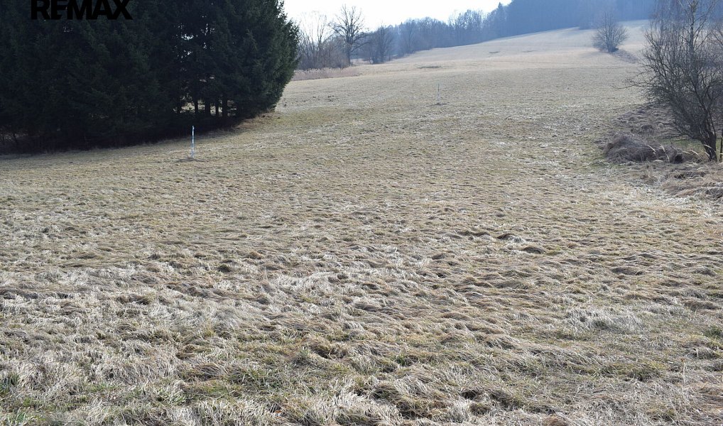 Prodej stavebního pozemku 3 795 m², Lipová-lázně – náhled fotky 10
